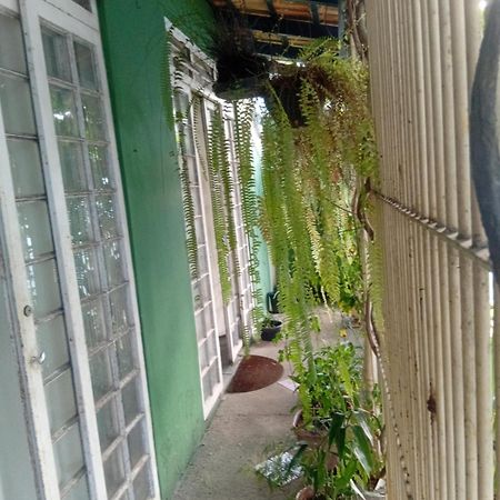 Bed and Breakfast Ubatuba Surf Spot Номер фото