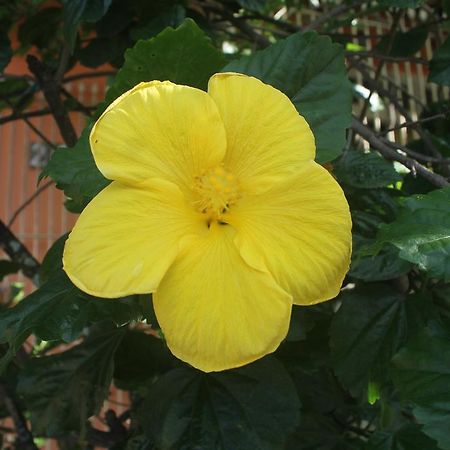 Bed and Breakfast Ubatuba Surf Spot Екстер'єр фото